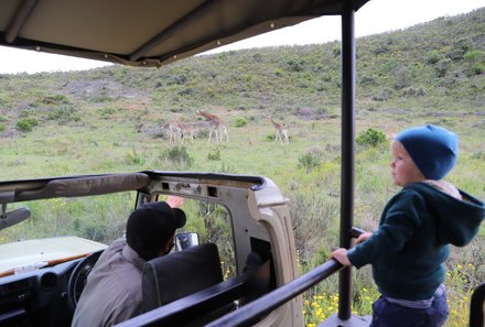 Garden Route mit Kindern  - Safari im Botlierskop Private Game Reserve - Kind hält Ausschau nach Tieren