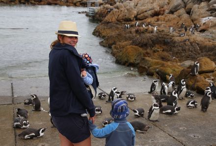 Familienreise Garden Route - Garden Route for family - Pinguine Bettys Bay