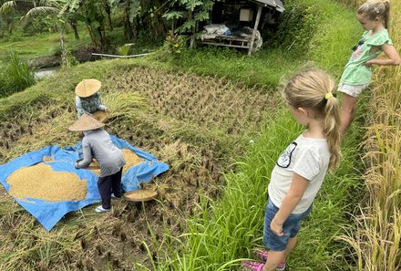 Bali mit Kindern - Bali for family - Stopp bei Einheimsichen am Reisfeld in Ubud