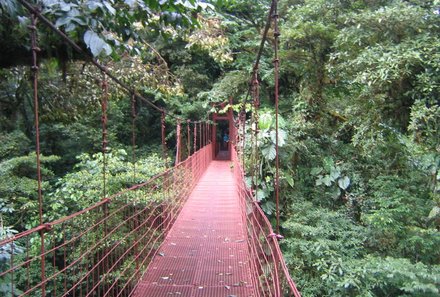 Costa Rica mit Kindern - Costa Rica for family individuell - Hängebrücke