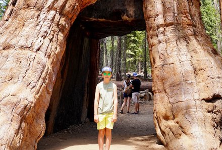USA Familienreise - USA Westküste for family - Yosemite Nationalpark - Kind unter Mammutbaum - Mariposa Grove