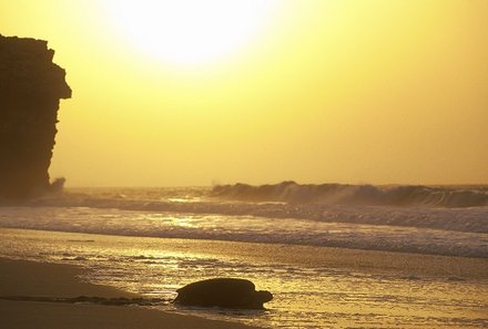 Familienreise Oman - Familienreise for family - Sonnenuntergang mit Schildkröte
