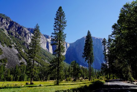 USA Familienreise - USA Westküste for family - Yosemite Nationalpark