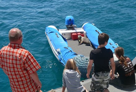 Galapagos Familienreise - Galapagos for family - Robbe im Boot