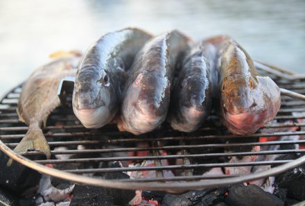 Familienreise Kroatien - Kroatien for family - Segelreise - Fische auf Grill