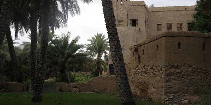 Oman mit Kindern - Oman for family - Altes Gebäude zwischen Palmen
