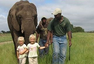 Familienreise Südafrika - Südafrika for family -best of safari - Pilanesberg Elefanten 