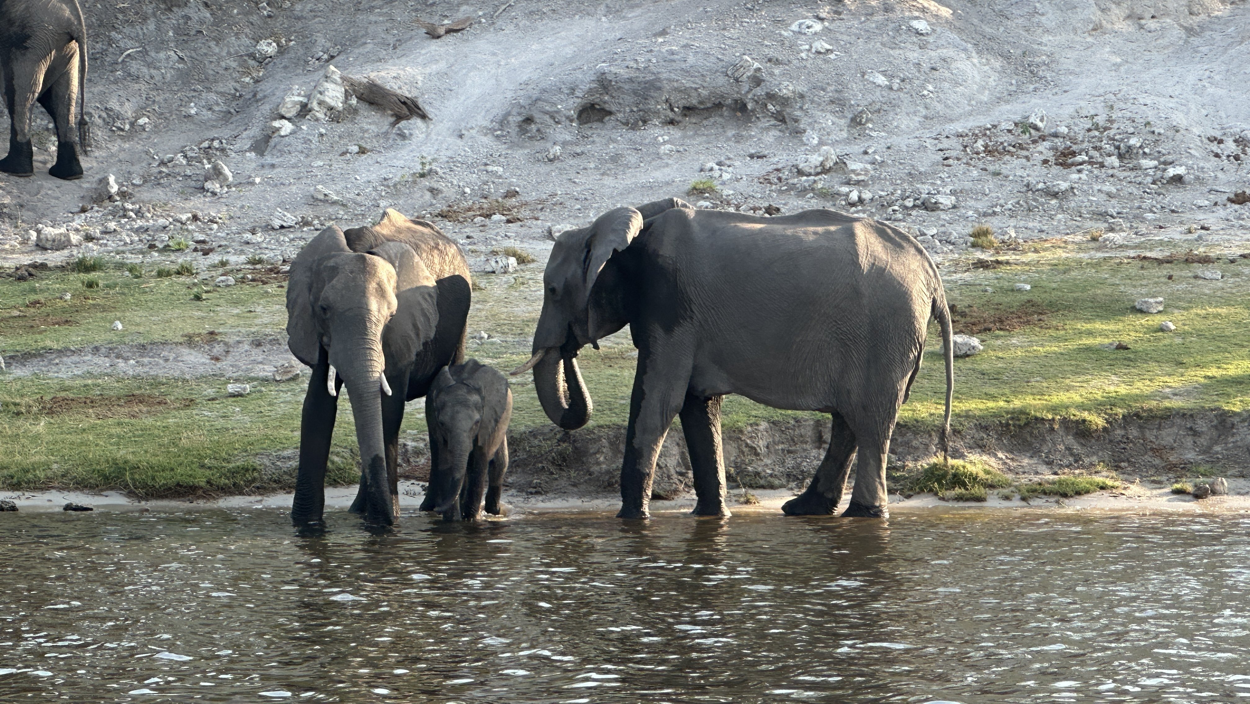 Botswana Flug-Safari mit Kindern - Botswana Rundreise mit Kindern - Elefanten
