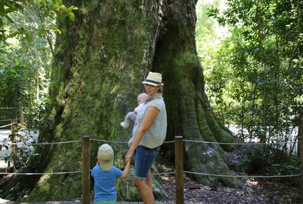 Südafrika Garden Route mit Kindern - Familie im Tsitsikamma Nationalpark
