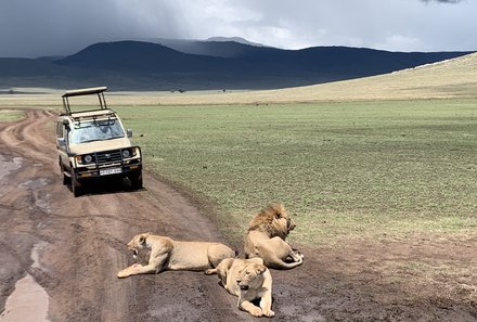 Tansania Familienurlaub - Tansania for family - Löwen und Jeep vor Ngoro Krater