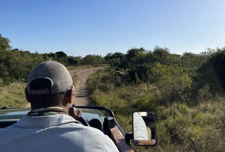 Südafrika Garden Route mit Kindern - Kariega Private Game Reserve - Pirschfahrt im offenen Jeep