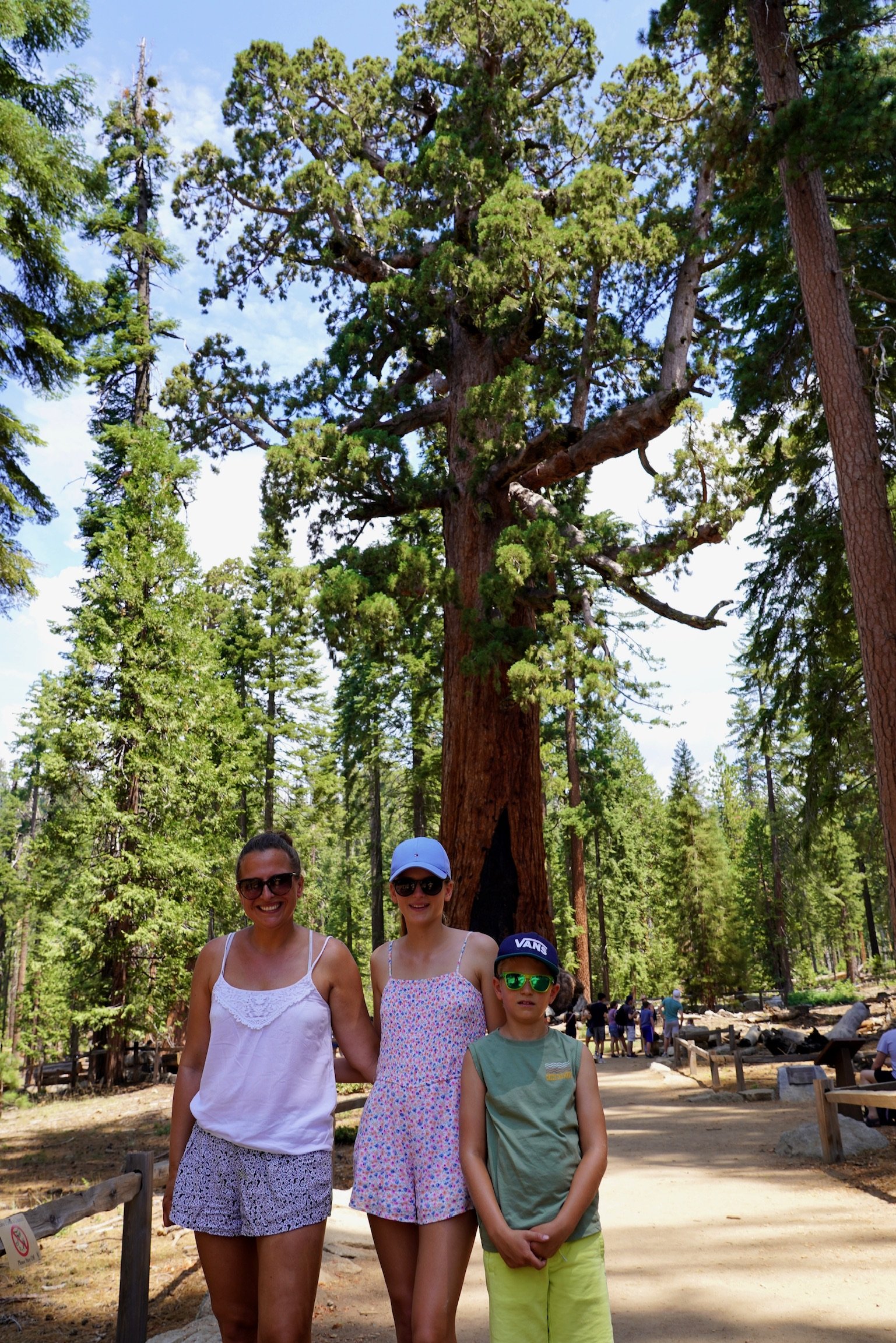 USA Reise mit Kindern Erfahrungen und Tipps - Yosemite Nationalpark mit Kindern