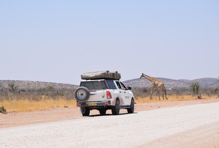 Namibia Familienreise individuell mit Mietwagen und Dachzelt - Etosha Nationalpark