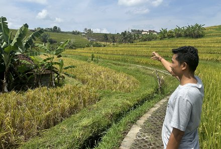 Bali mit Kindern - Bali for family - Guide führt durch Reisfelder