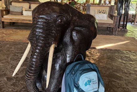 Tansania Familienreise - Tansania Family & Teens - Arumeru Lodge - Rucksack und Elefant