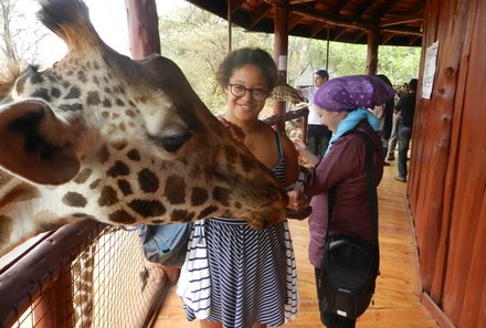 Kenia Familienreise - Kenia for family individuell - Giraffe im Langata Giraffencenter