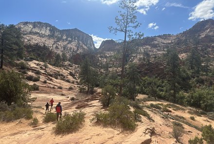 USA Südwesten mit Kindern - USA for family individuell - Kalifornien, Nationalparks & Las Vegas - Erkundung im Zion Nationalpark