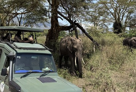 Tansania Familienreise - Tansania for family individuell - Familienabenteuer Tansania - Elefant am Jeep