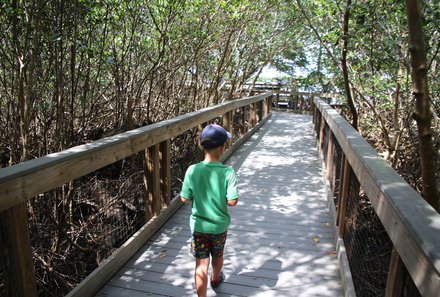 Florida Familienreise - Florida for family - J.N. „Ding” Darling Wildlife Refuge - Kind auf Weg