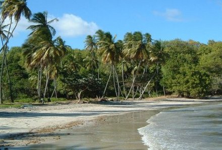 Karibik for family individuell - Grenada - Strand