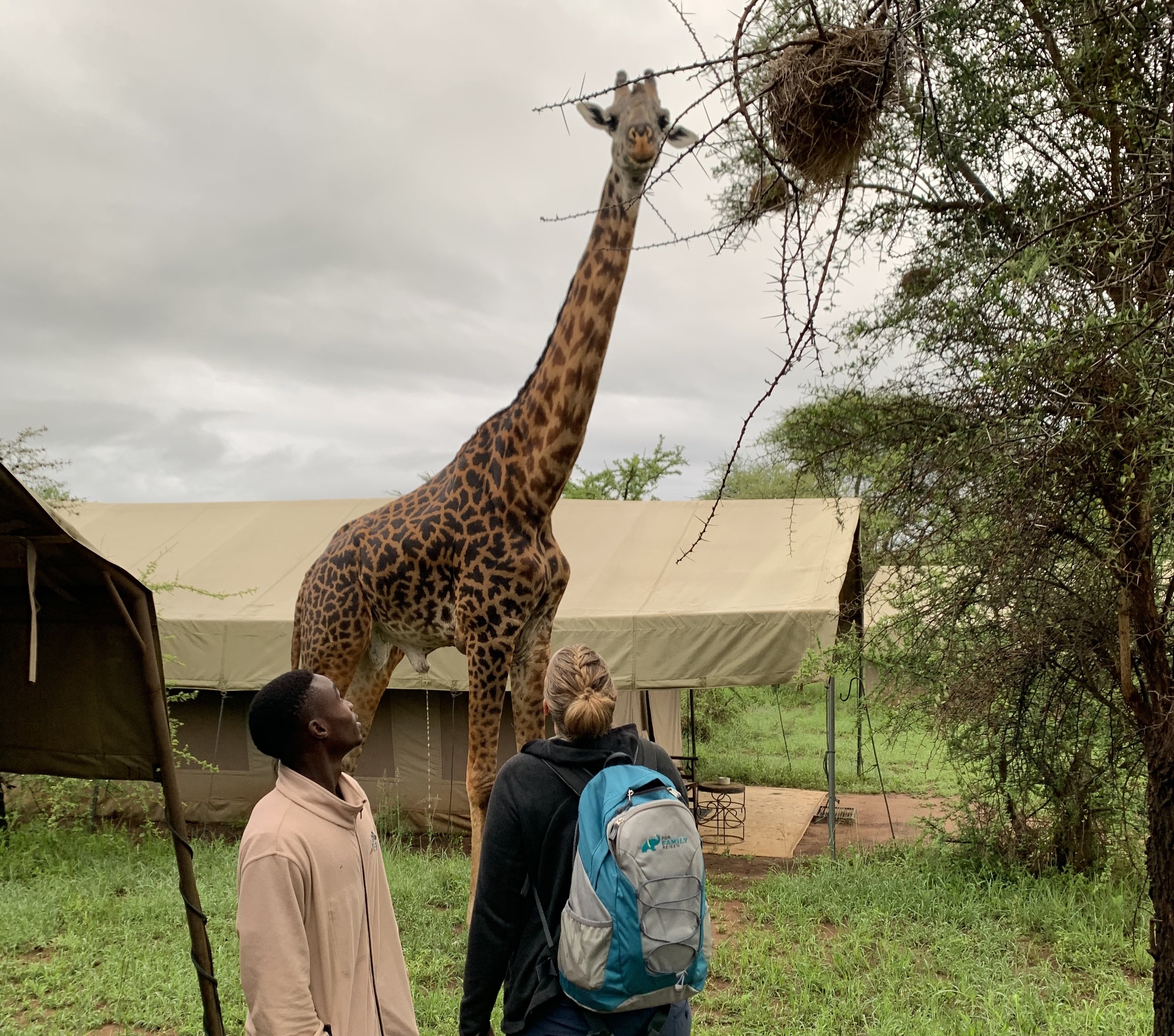 Urlaub mit Oma und Opa wohin - Fernreisen mit Enkeln - Tansania Safari-Camp