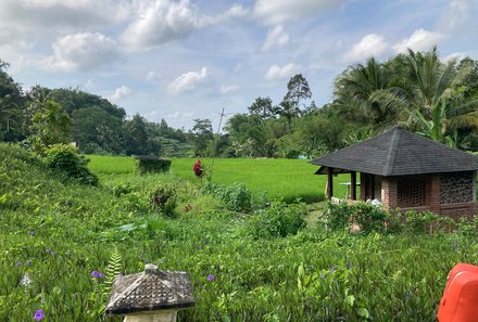 Bali for family - Bali Familienreise mit Kindern - Homm Saranam Baturiti - Gartenanlage