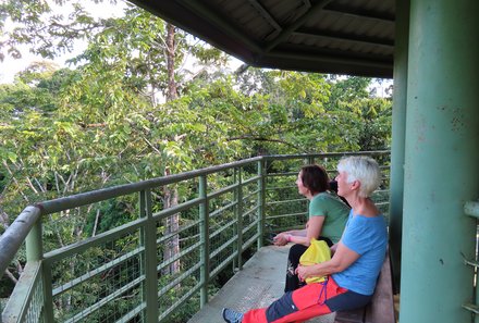 Familienurlaub Malaysia & Borneo - Malaysia & Borneo for family individuell - Rainforest Discovery Centre - Eltern genießen Ausblick