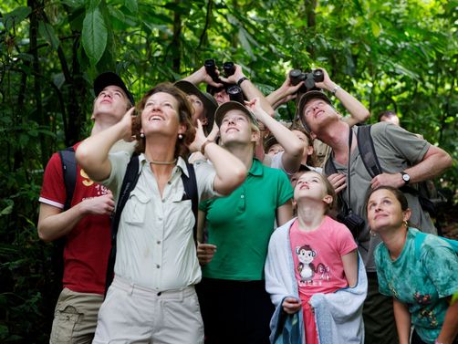 Costa Rica Familienreisen - Costa Rica for family - Tierbeobachtungen im Dschungel