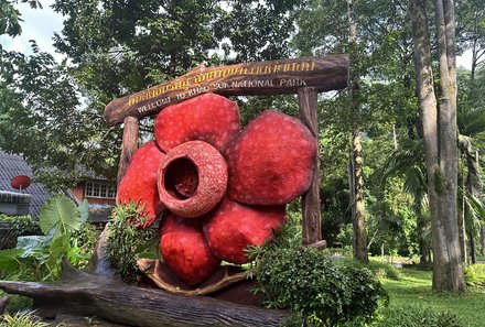 Thailand Familienreise mit Kindern - Thailand for family individuell - Rafflesia