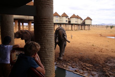 Kenia Familienreise - Kenia for family individuell - Tierbeobachtungen bei der Stelzenlodge