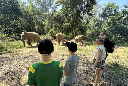 Thailand mit Kindern - Thailand for family - Elefant beobachten