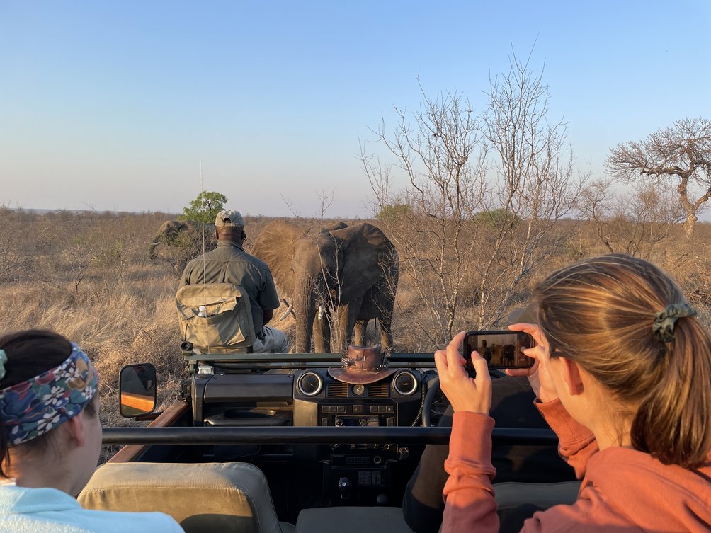 Gruppenurlaub mit Kindern - Teens auf Safari in Südafrika