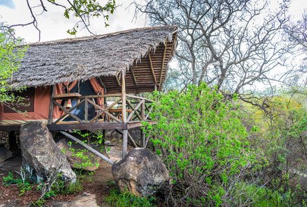 Serengeti mit Kindern individuell - Best of Familiensafari Serengeti - Maweninga Camp Tarangire Nationalpark - Zeltsuite von außen