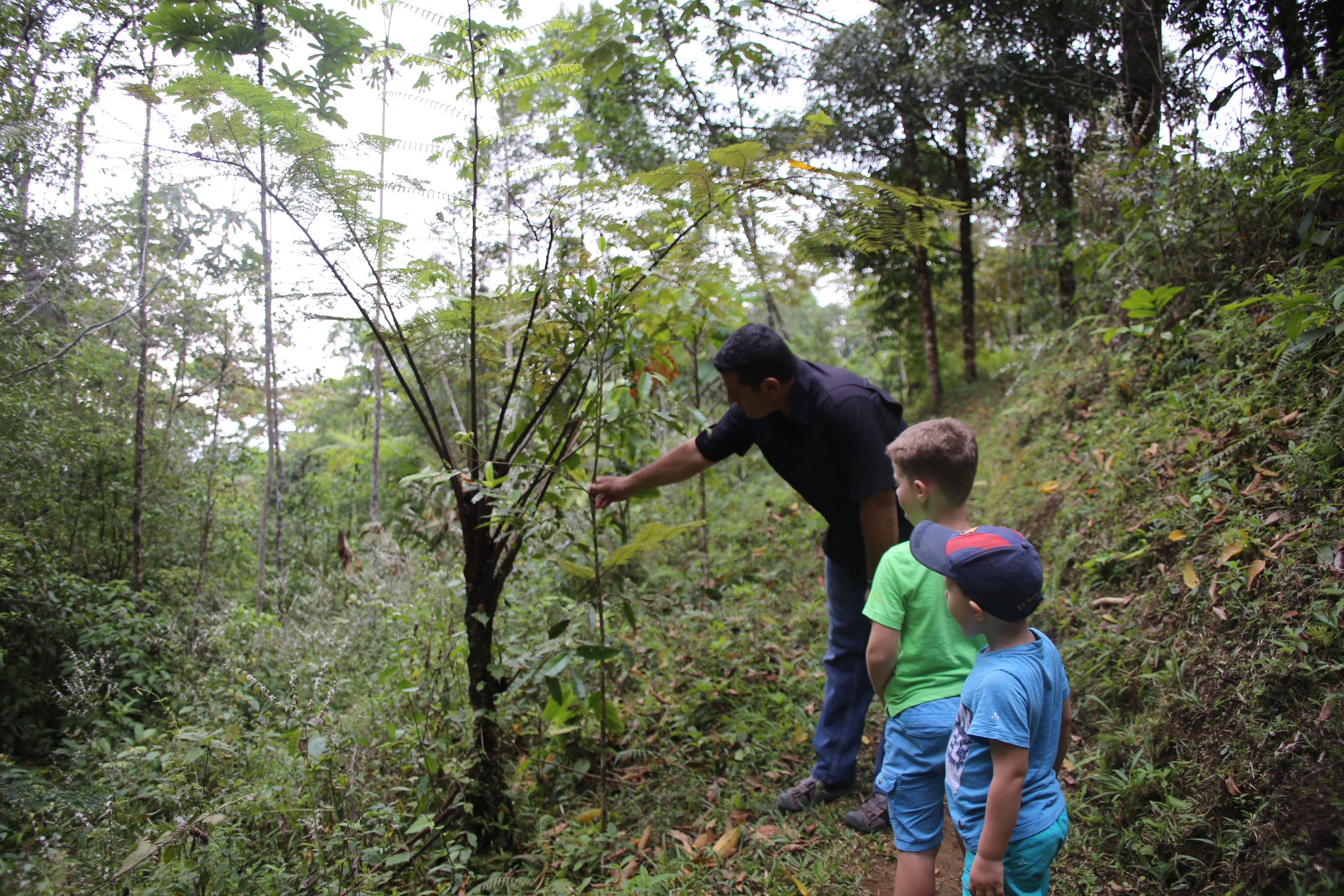 Costa Rica nachhaltig auf einer Familienreise erkunden - Costa Rica - Baumpflanzen