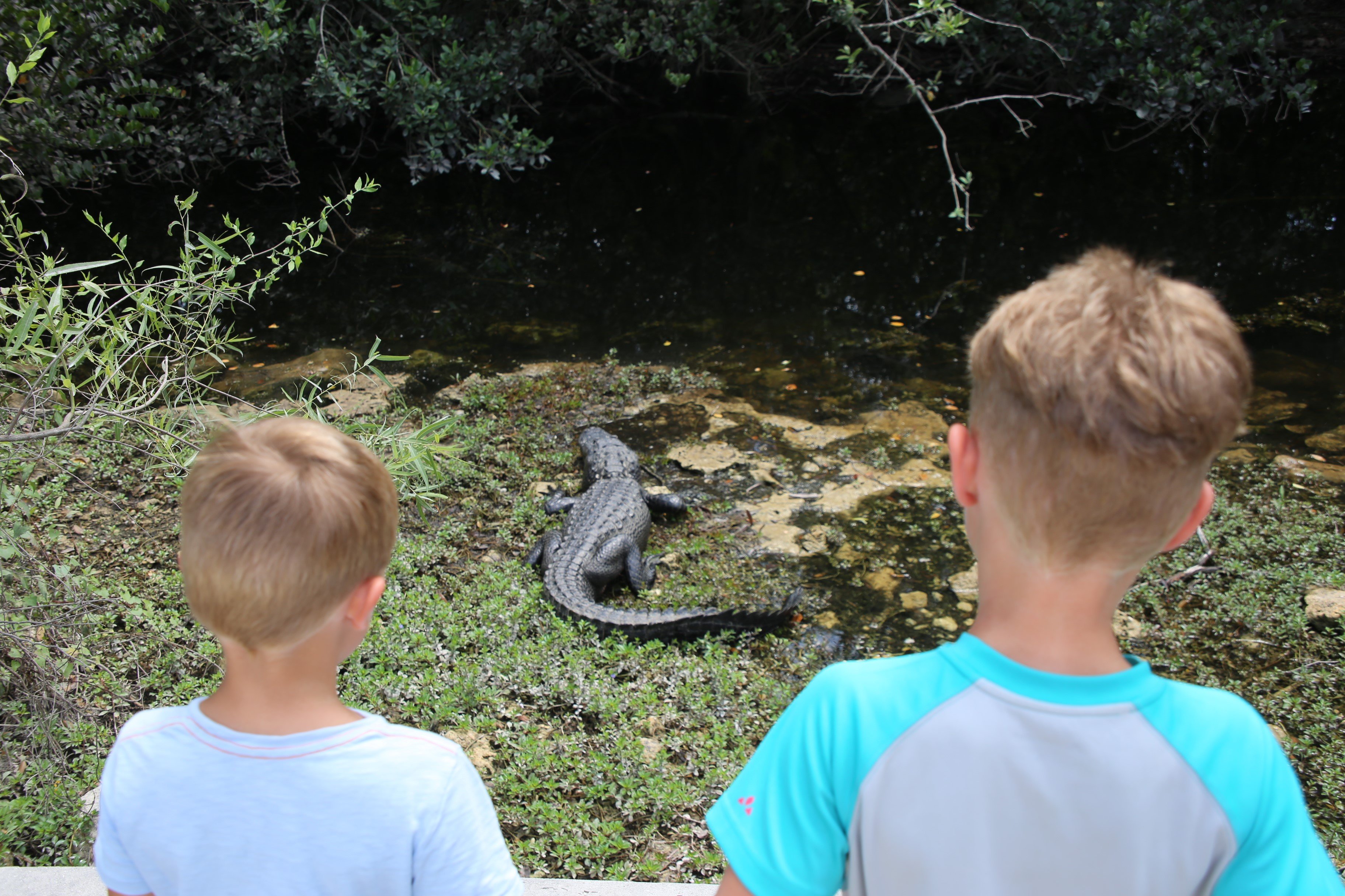 Familienurlaub Florida - Florida Rundreise für Familien - Kinder in den Everglades