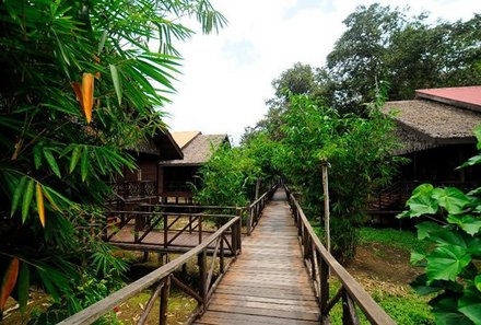 Malaysia Family & Teens - Familienreise Malaysia - Bilit Rainforest Lodge Steg