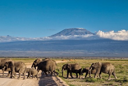 Kenia Familienreise - Kenia for family individuell - Strand & Buschabenteuer - Blick Kilimandscharo