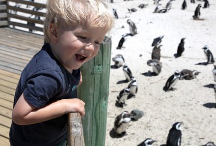 Familienreise Südafrika mit Kindern - Garden Route for family individuell deluxe - Pinguine am Strand