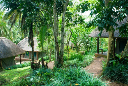 Uganda Queen Elizabeth Nationalpark - Kibale Forest Camp - Zelte 