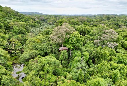 Costa Rica for family Deluxe - Familienreise in Costa Rica - Junior Tree House in der Maquenque Lodge von oben