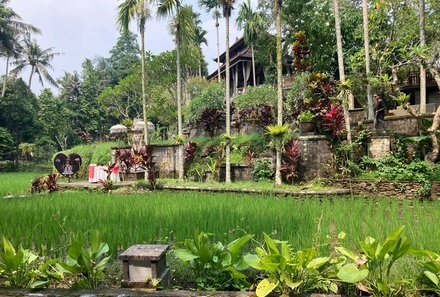 Bali Familienreise - Bali for family - Arma Museum und Resort - Garten Hotel