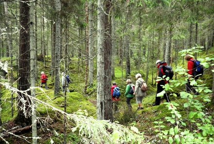 Familienreise Baltikum Family & Teens - Baltikum mit Kindern - Lettland - Wandern im Gauja Nationalpark