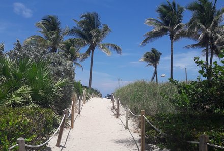 Florida Familienreise - Florida for family - Strand von Miami - Weg mit Palmen