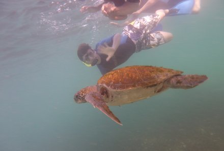 Karibik for family individuell - Tobago - Schildkröte