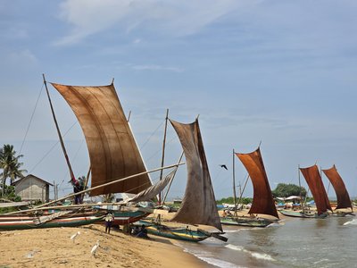 Feedback LKFFSU - Sri Lanka Summer for family - Sommerferien 2024 - Boote am Strand