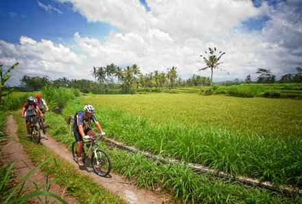 Bali for family deluxe - Familienreise Bali mit Kindern - Ubud Fahrrad fahren