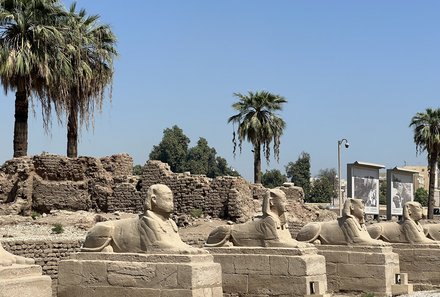 Familienreise Ägypten - Ägypten for family individuell deluxe - Statuen Luxor Tempel