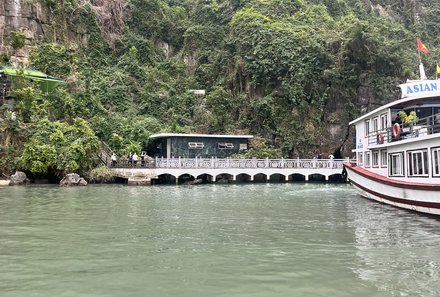 Vietnam & Kambodscha Familienreise - Vietnam-Kambodscha Family & Teens - Halong Bucht Vegetation