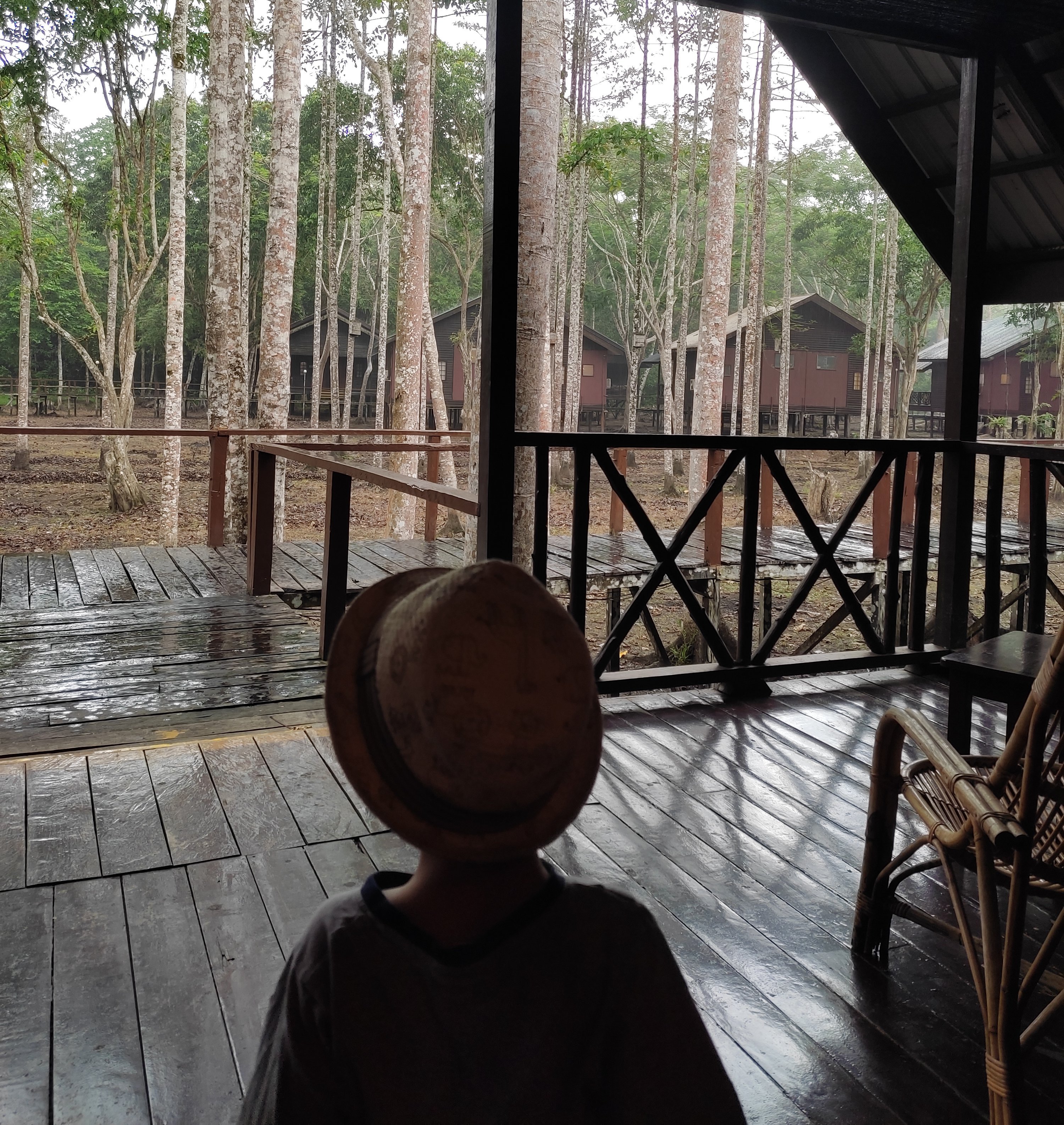 Borneo mit Kindern - Borneo mit Kindern Erfahrungen - Borneo Urlaub mit Kindern - Kinabatangan-Fluss - Aufenthalt auf der Lodge