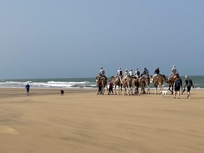 Marokko for family - Marokko mit Kindern - Kamelreiten am Strand 